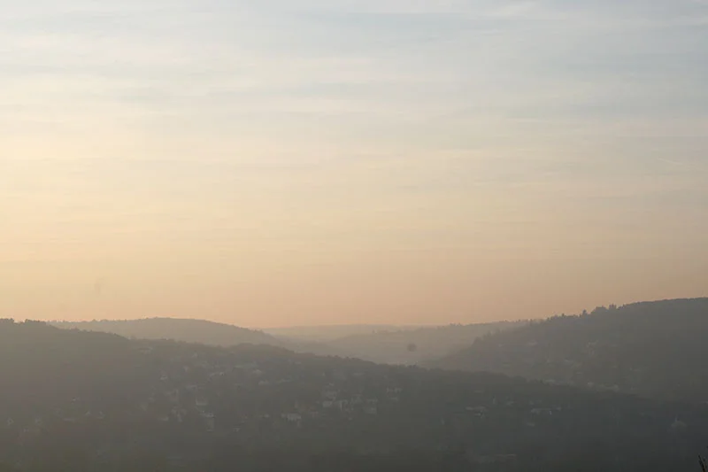 Spaziergang in den Weinbergen von Würzburg
