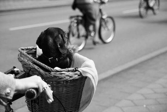 tweedrun-24