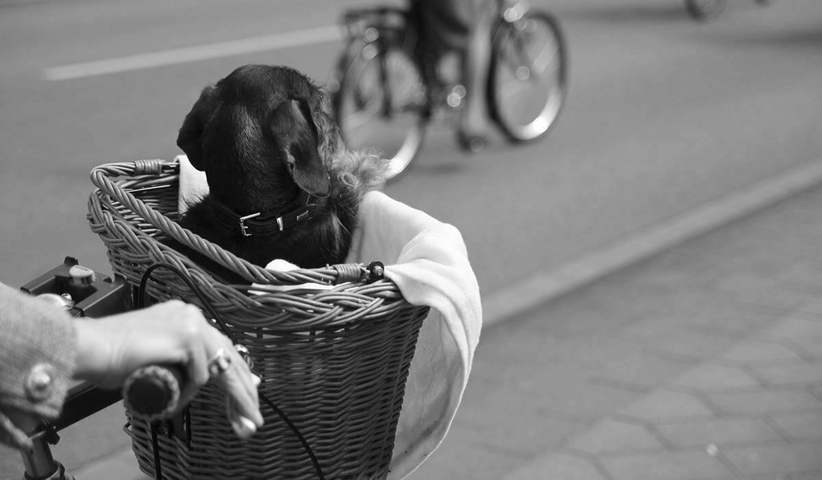 Impressionen vom 1. Gütersloher Tweed Run