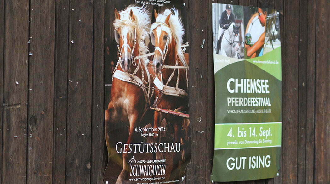 Das Chiemsee Pferdefestival auf Gut Ising