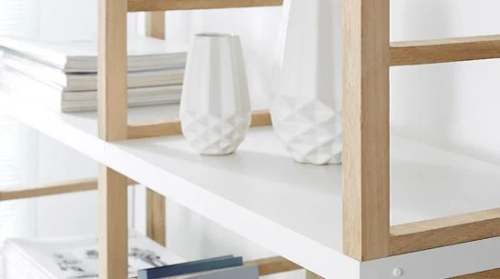 MAXX von Regalraum.com