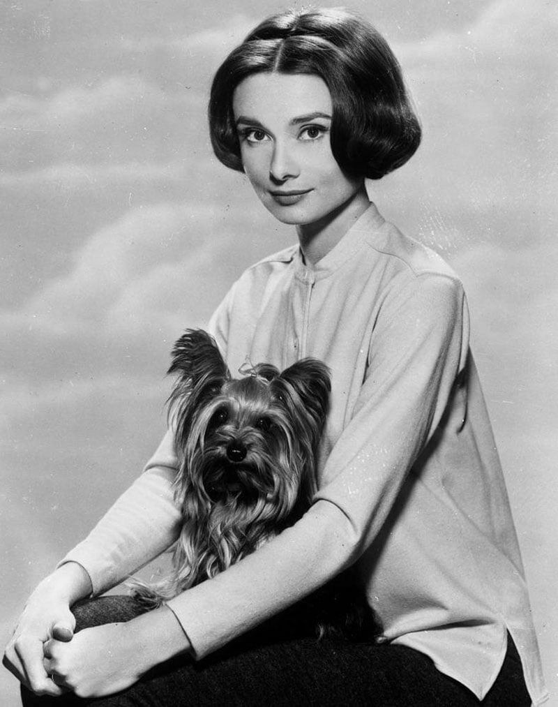 Mode-Tipps von Audrey Hepburn