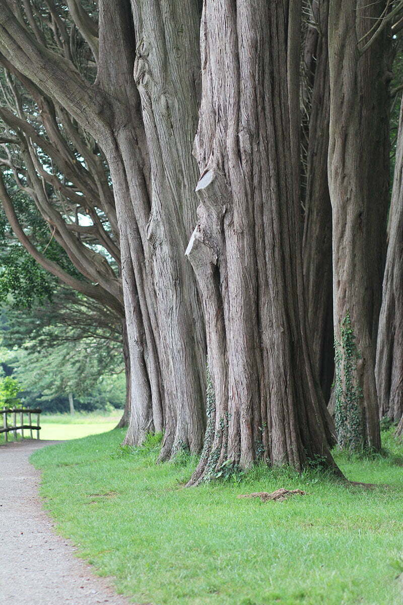 Schloss Plas Newydd