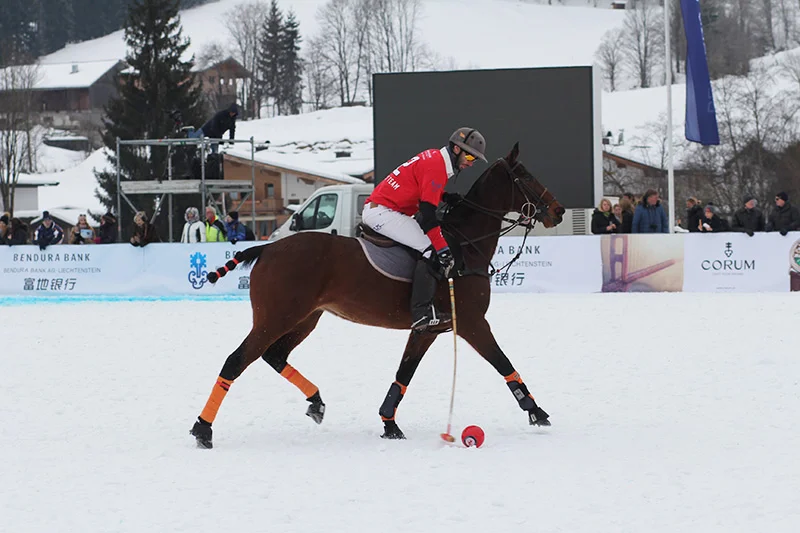 Snow Polo Worldcup Kitzbühel