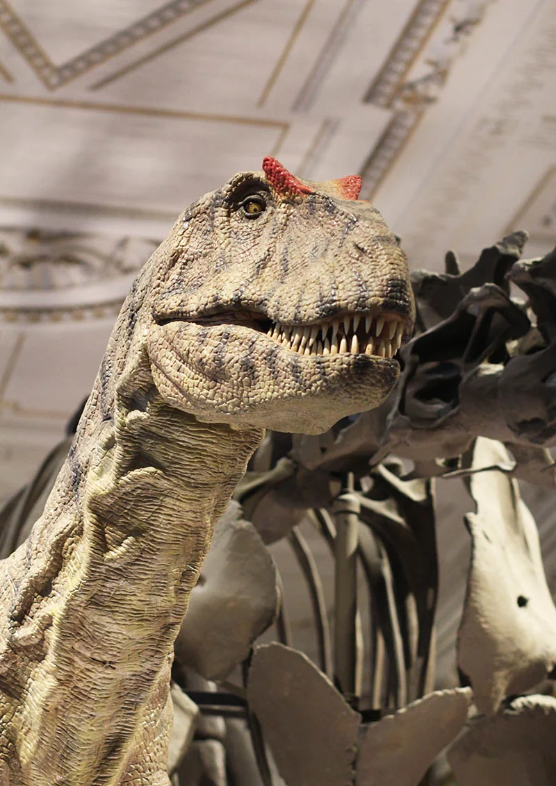 Dinos im Naturhistorischen Museum Wien