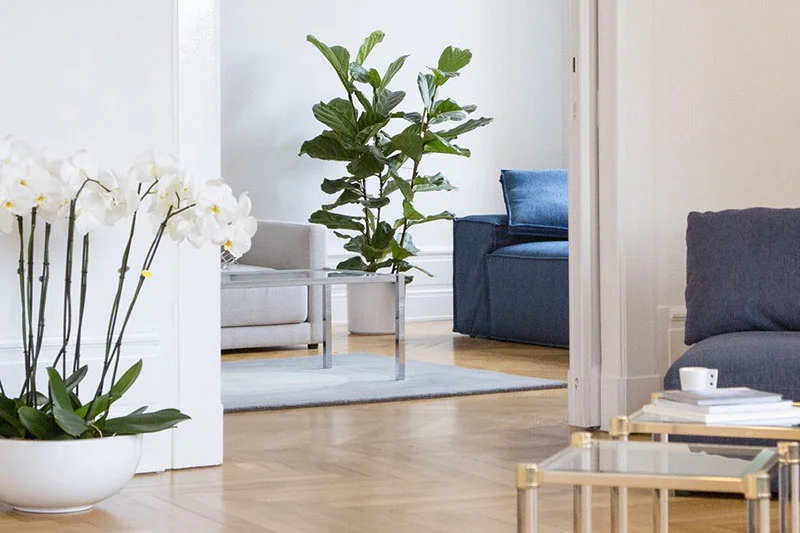 Showroom von Renetti in Berlin