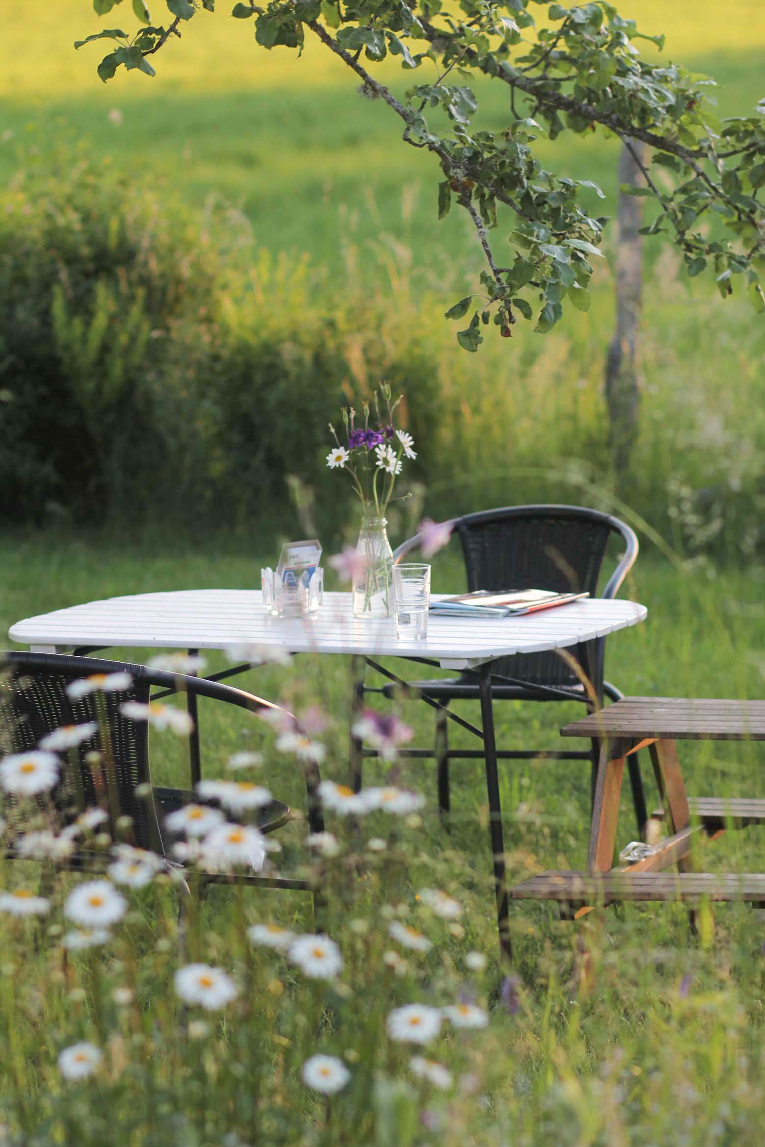 Småland-Tipps für Kalmar und Umgebung Småland-Tipps für Kalmar und Umgebung