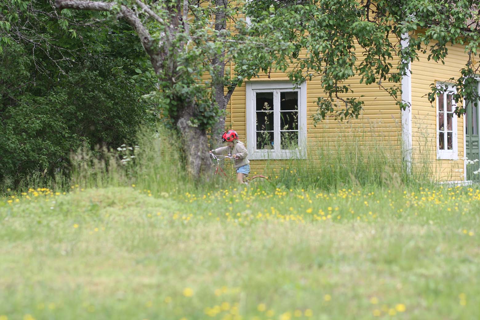 Småland-Urlaub Småland-Urlaub: Geheimtipps für Kalmar und Umgebung