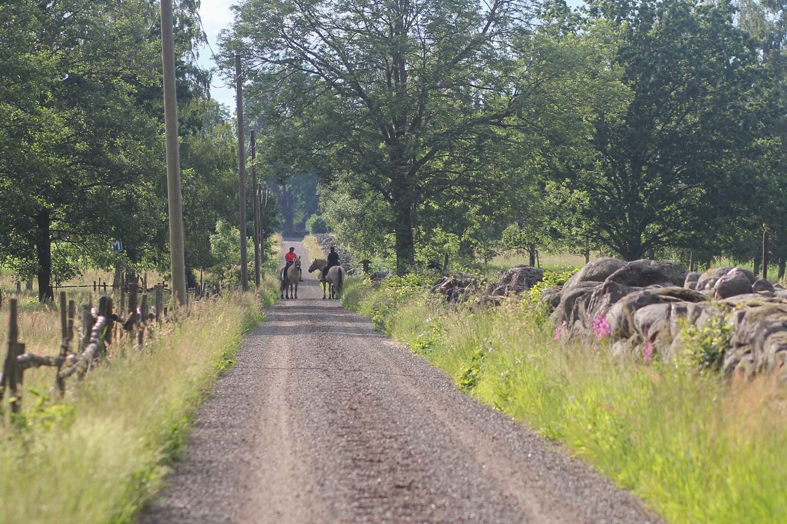 Småland-Tipps für Kalmar und Umgebung Småland-Tipps für Kalmar und Umgebung