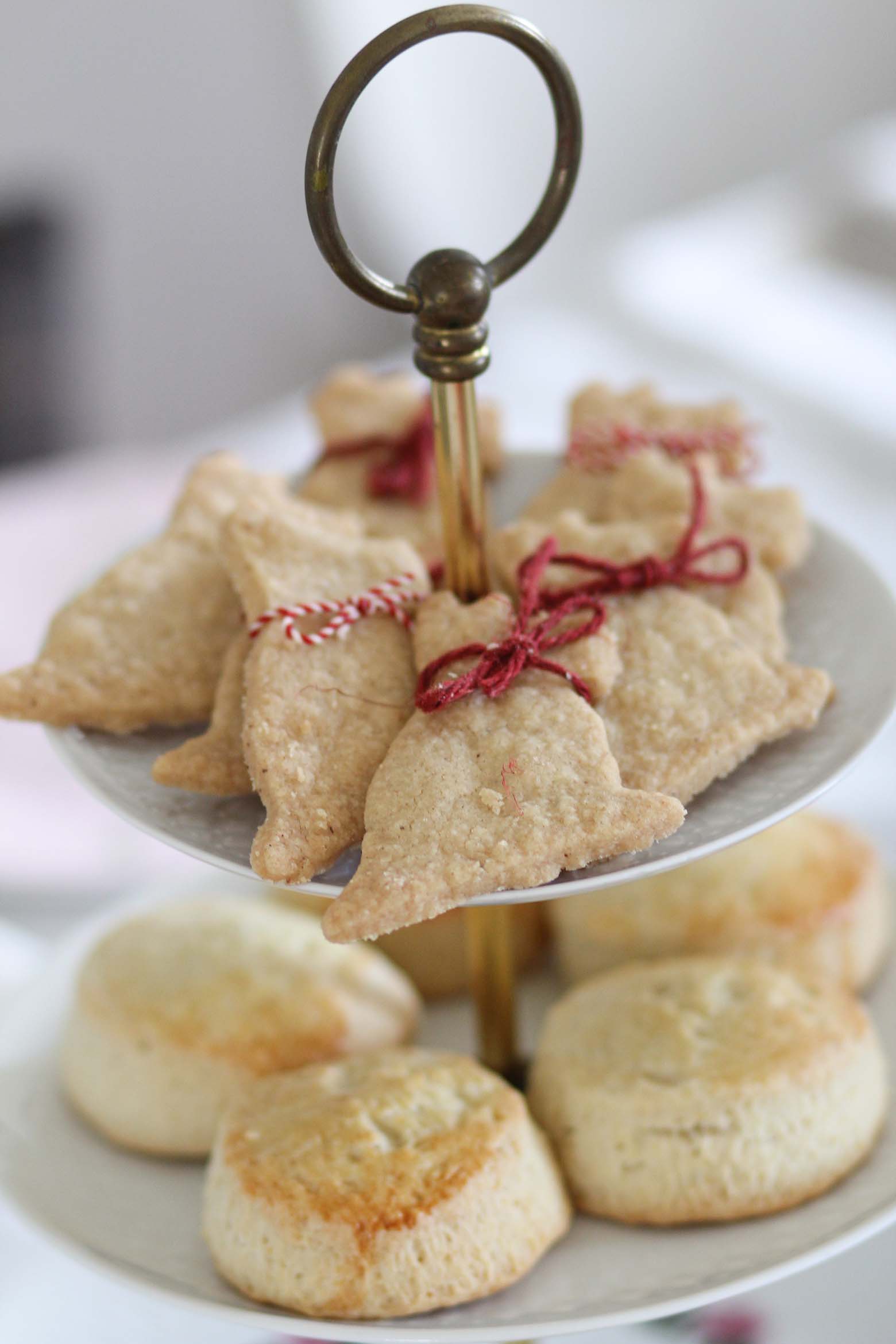 Shortbread "Spicy Scottie Dogs" von Theresa Baumgärtner
