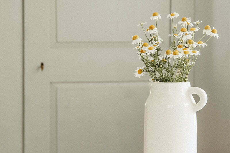 Diese Blumen passen zum minimalistischen Wohnstil