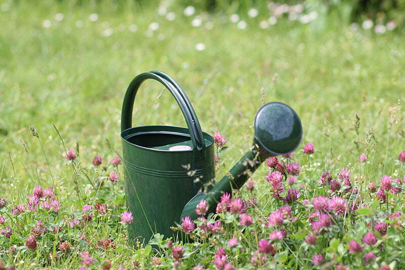 Englische Gartenwerkzeuge: Gießkanne 