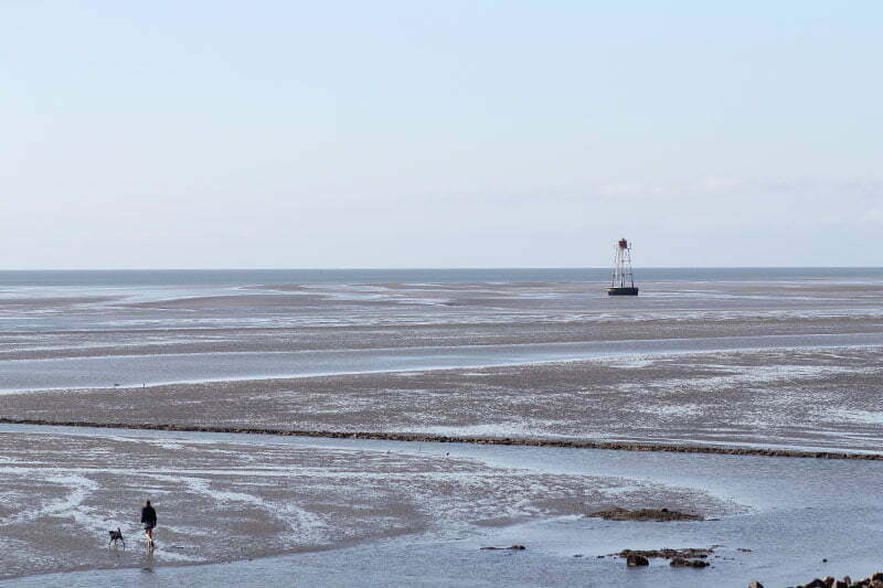 Wattwanderung auf der Insel Pellworm