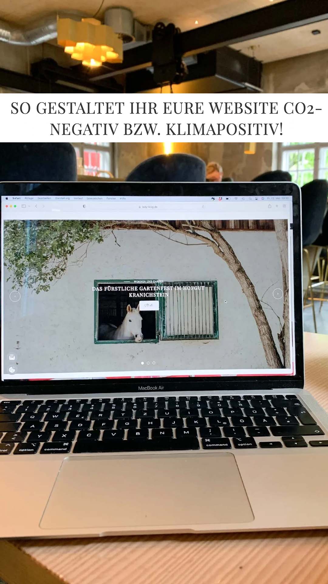 Website CO2 negativ gestalten