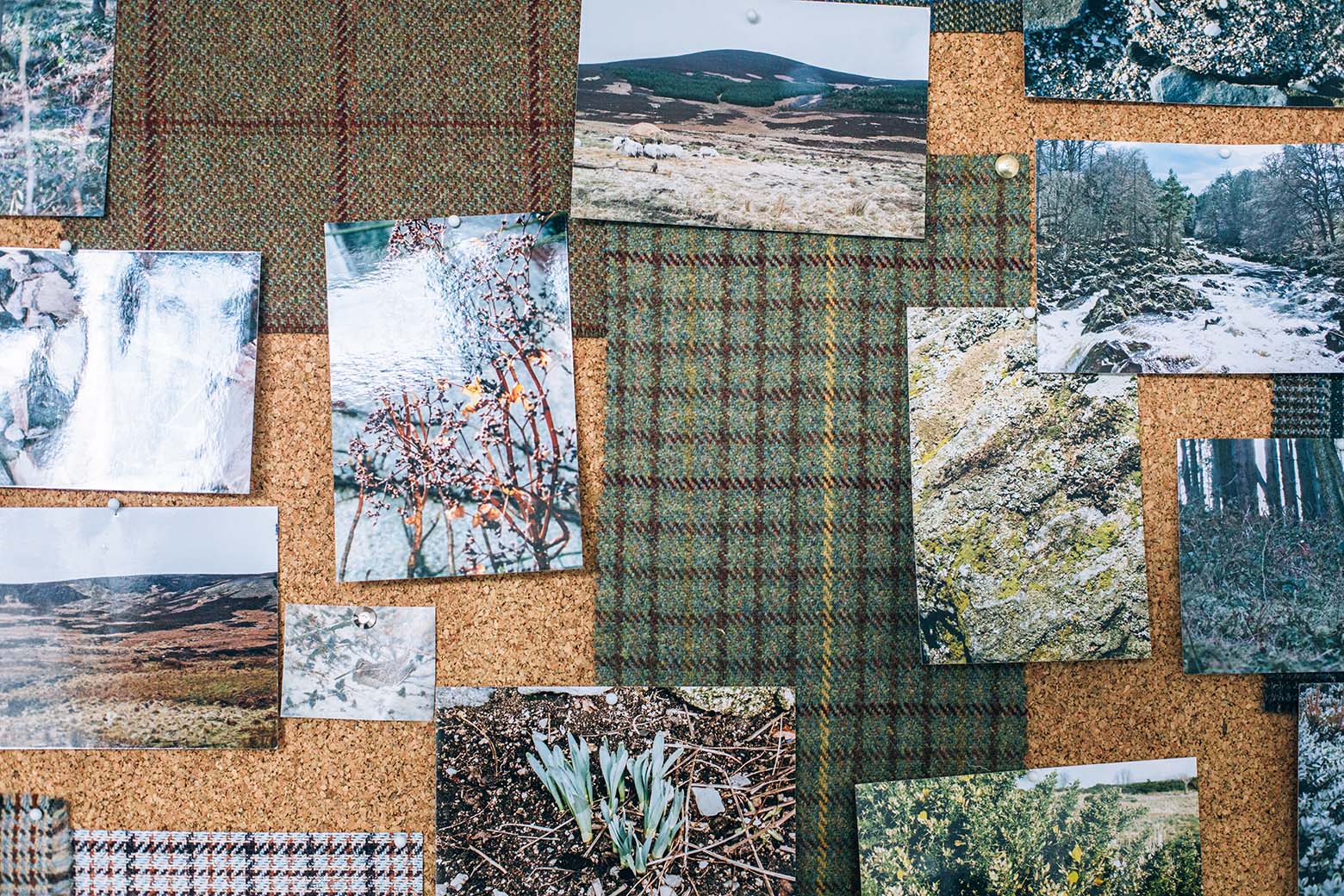 Araminta Campbell: Tweed-Textildesignerin aus Schottland