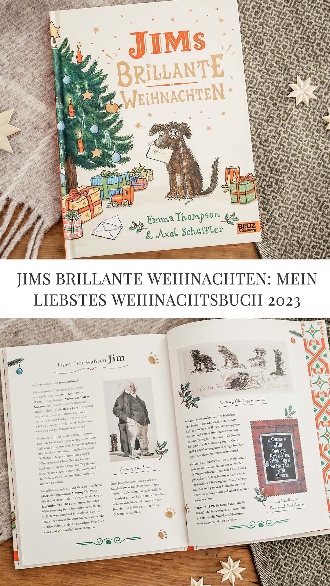 Jims brillante Weihnachten - Axel Scheffler