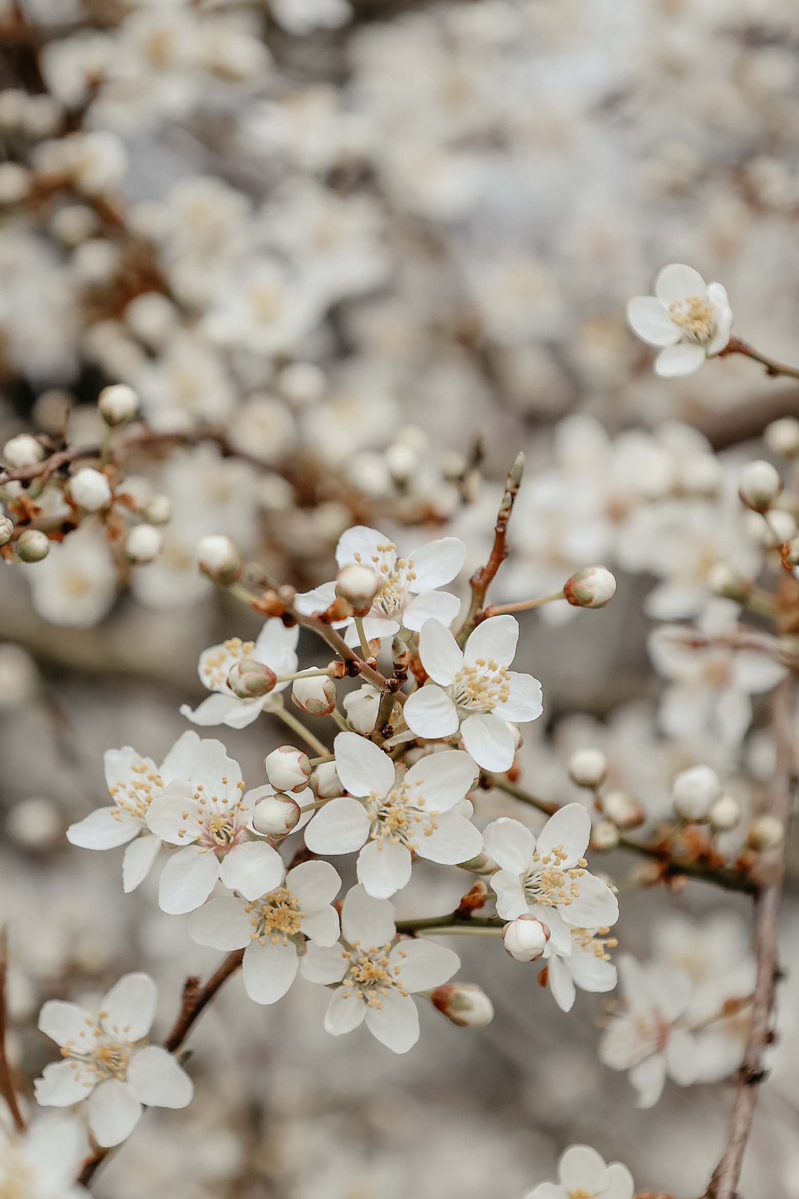 Ostern Osteroutfit für Kleinkinder