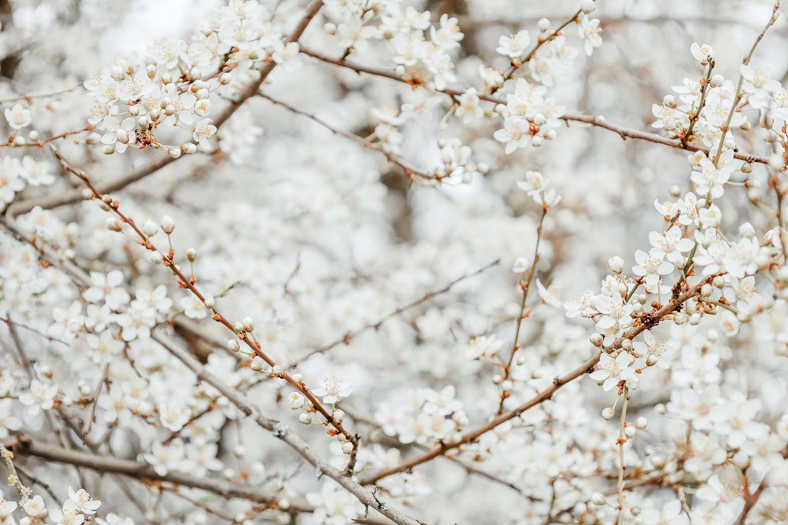 Osteroutfit für Kleinkinder Osteroutfit für Kleinkinder