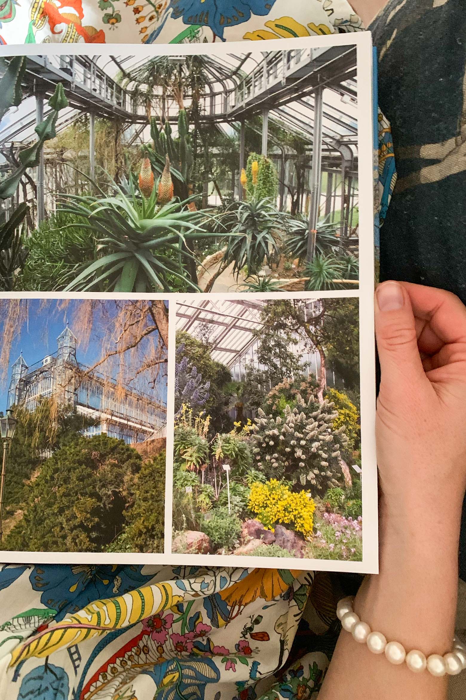 Botanische Gärten: Die schönsten Pflanzenparadiese der Welt Botanische Gärten: Die schönsten Pflanzenparadiese der Welt