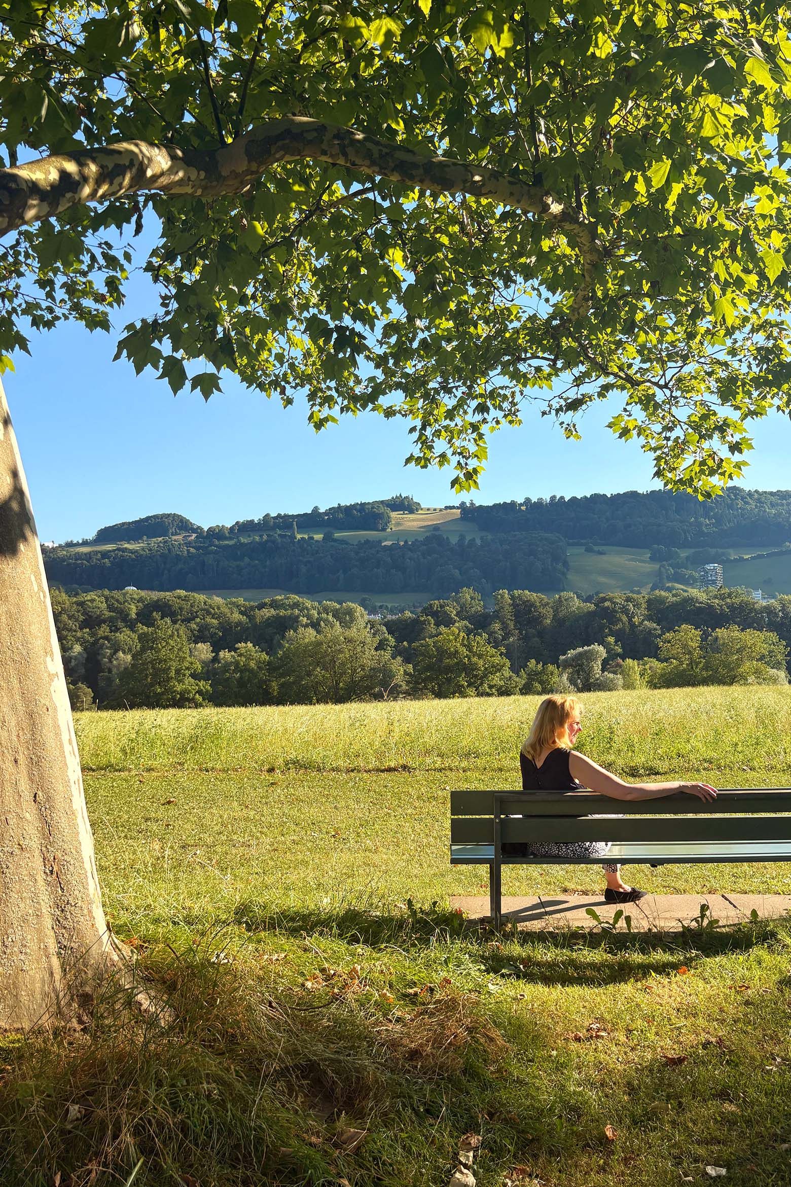 Geheimtipp für Bern: Parkanlage Elfenau