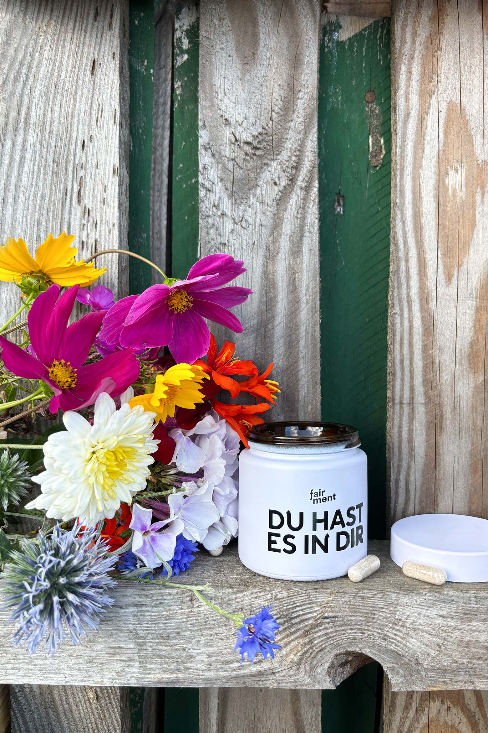 Fairment: Supermikroben für einen Super-Darm Fairment: Supermikroben für einen Super-Darm