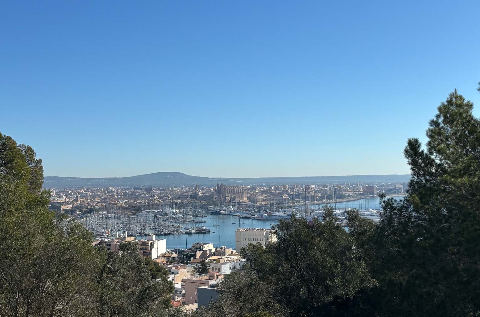 Amazfit Active 3 Premium Fitness Smartwatch Amazfit Active 3 Premium beim Laufen getestet