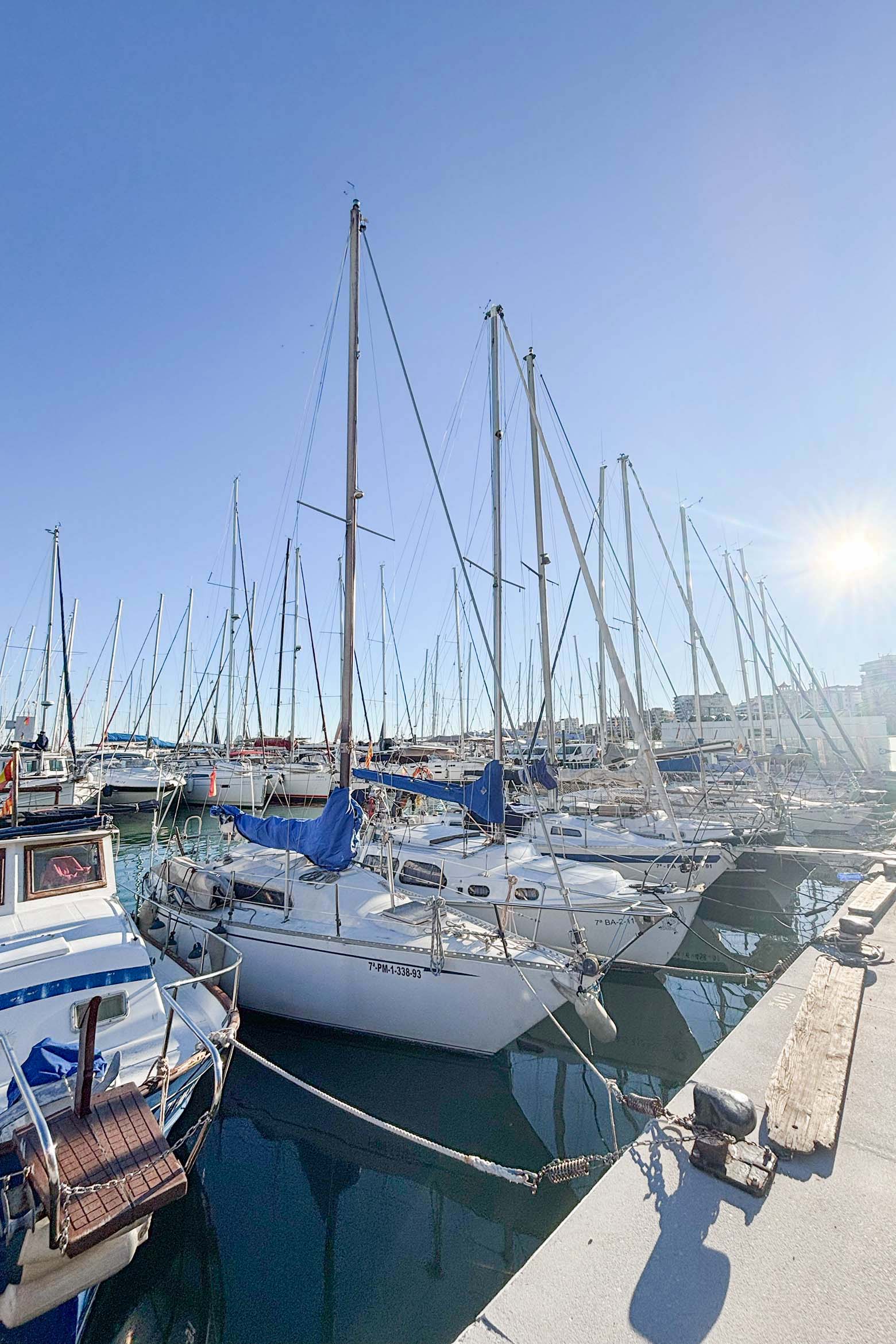 Sport-Smartwatch Amazfit Sport-Smartwatch Amazfit Active 3 Premium im Praxistest auf Mallorca