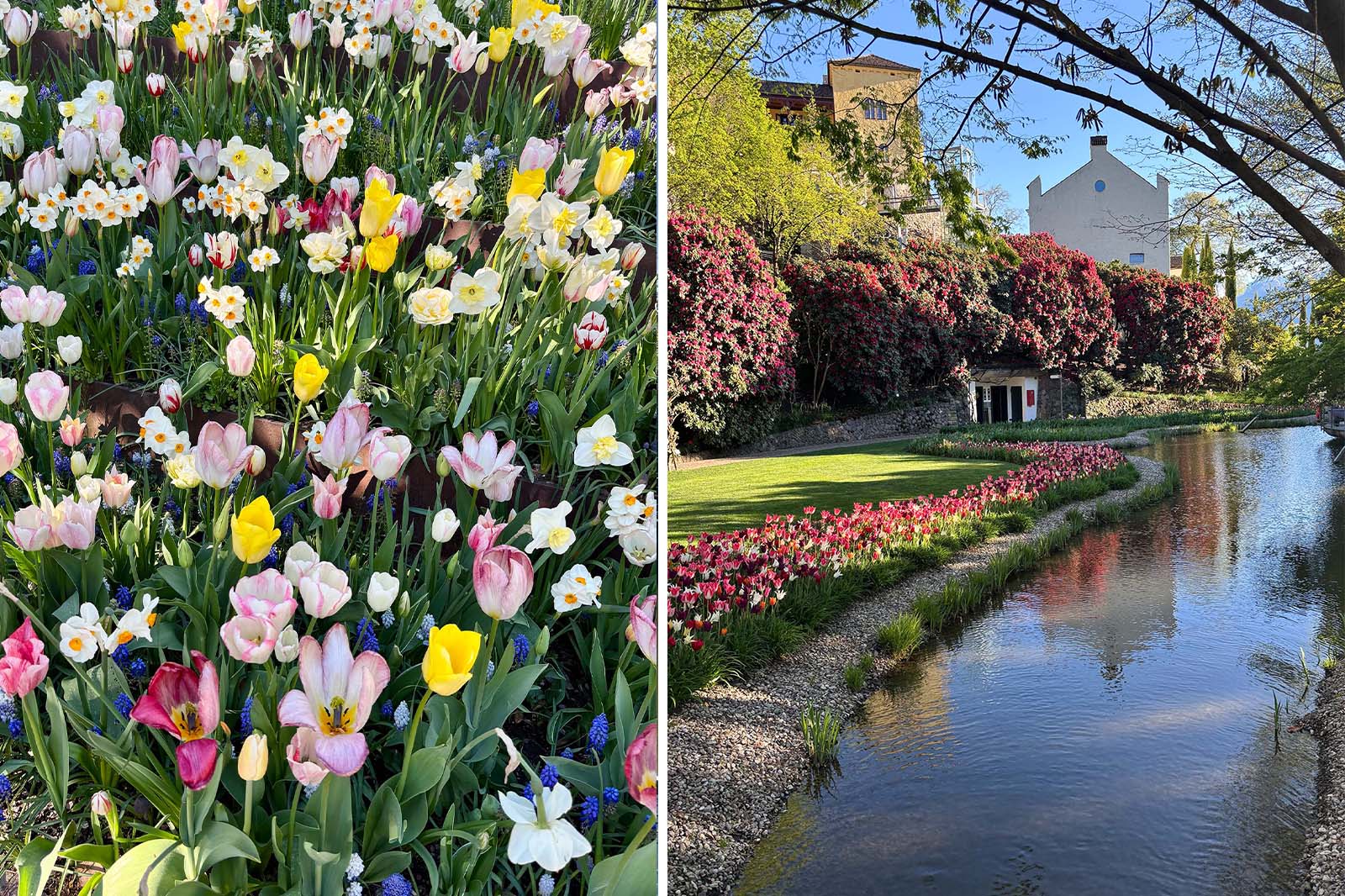 Schloss Trauttmannsdorff Meran Highlight: Schloss Trauttmannsdorff Botanischer Garten