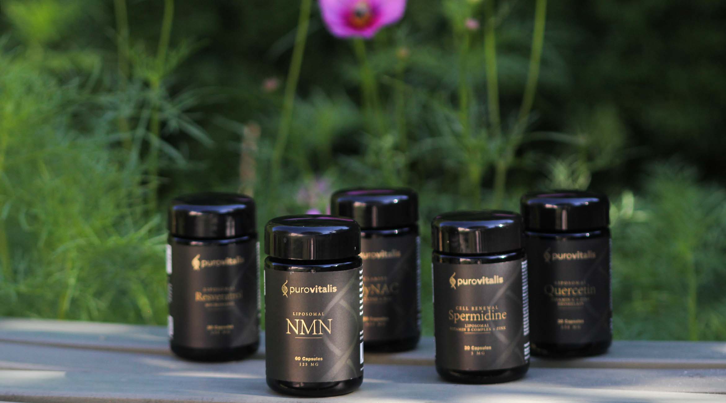 Getestet: Longevity-Supplements von Purovitalis