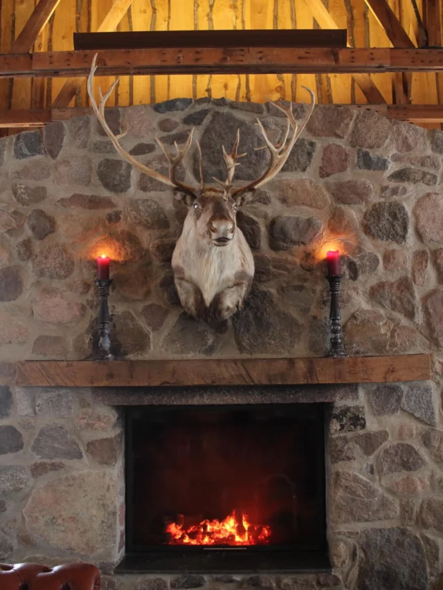 Das Frühstück meiner Träume, das erste Mal Schießen mit scharfer Munition, Land-Rover-Tour über Eis und Schnee mit Nachtsichtgerät, ein kranker Waschbär, Kaiserschmarrn aus Franzbrötchen und das erste Stückchen Fleisch seit zehn Jahren - thanks for having us Stephanie & Martin @gutGrambow. Es war eine sehr aufregende Zeit bei Euch 🦌🐗❤️! {Pressereise} #gutgrambow #fieldsports #huntinggirls #jagdschule